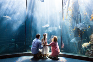 A family watching fish in an aquarium